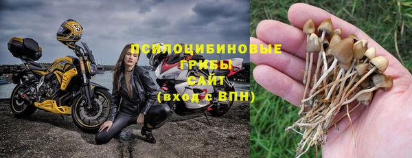 синтетический гашиш Алексеевка