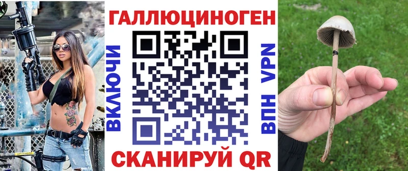 Псилоцибиновые грибы прущие грибы Неман